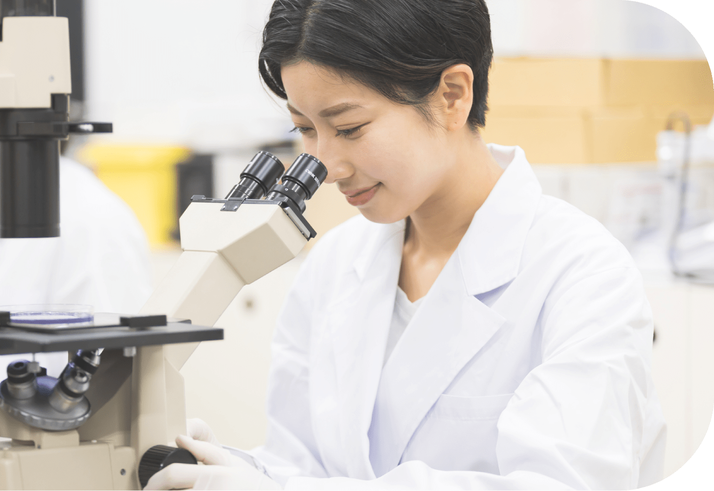 製品の検査をする様子